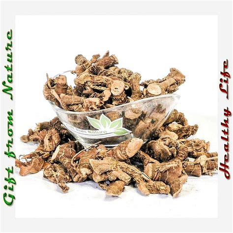 Galangal Root Lb G Organic Dried Bulk Herb Alpinia Officinarum