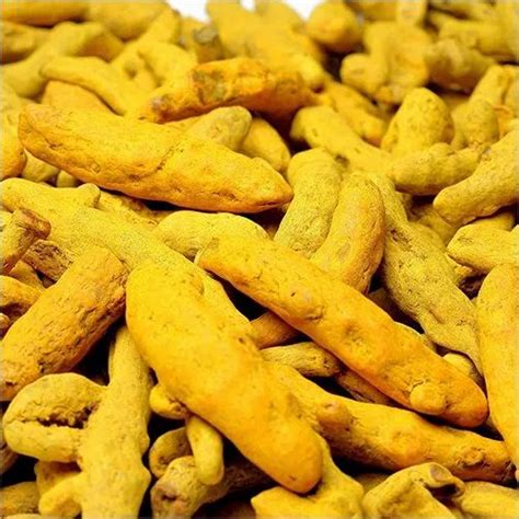 Salem Turmeric Haldi For Food Curcuma Longa At Rs Kg In Nagpur