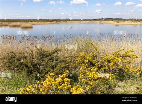 St Aidans Nature Reserve Hi Res Stock Photography And Images Alamy