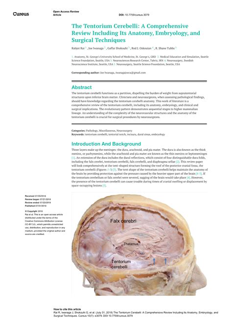 The Tentorium Cerebelli: a Comprehensive Review Including Its Anatomy ...