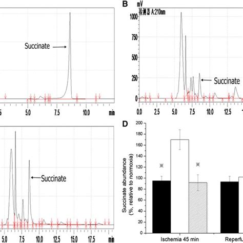 Effects Of Propofol On The Mitochondrial Membrane Potential Propofol