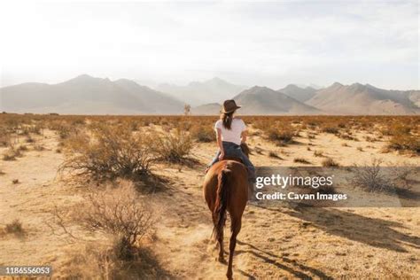 3553 Horseback Riding Desert Stock Photos High Res Pictures And