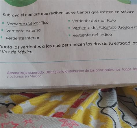 Hola Me Pueden Ayudar En Esta Por Favor No Quiero Que Sea De Brain Plus