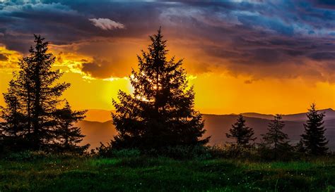 Red Darl Horizon Glow Orange Sunset Trees Sky Clouds Nature