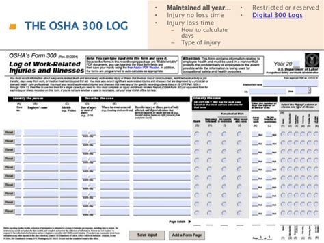 Osha 300 Fillable Form Amulette