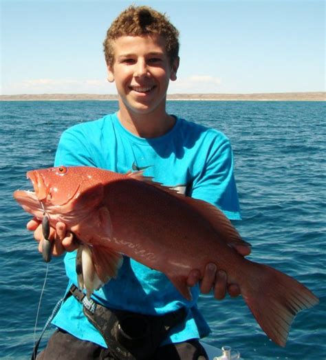 Coral Trout Fishing Fishing Wa Fishing Photos