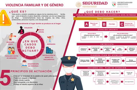 Introducir Imagen Modelo De Proyecto De Seguridad Ciudadana