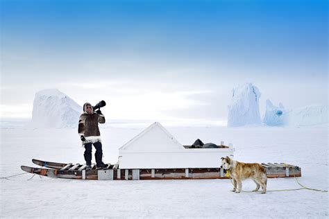 Arctic Canada Narwhal and Polar Bear Safari with Arctic Kingdom