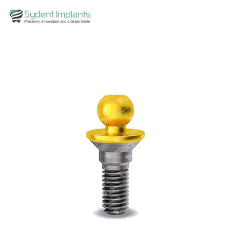 Premium Angled Multi Unit Titanium Abutment Full Set For Dental