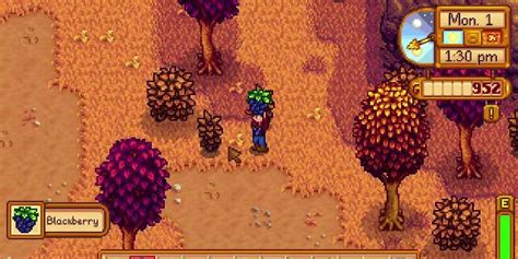 Everything To Know About Foraging In Stardew Valley