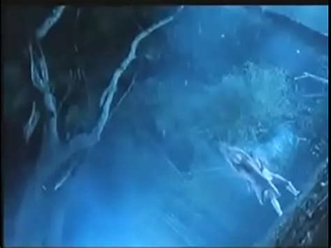 Ejercicios De Artes Marciales XVIDEOS