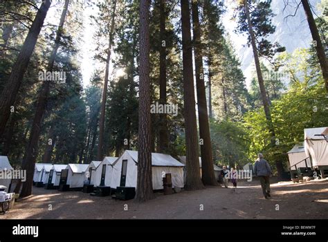Curry Village In Yosemite National Park California Stock Photo Alamy
