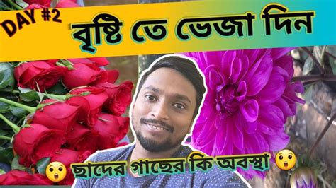 আজ সারাদিন বৃষ্টি হলো। বৃষ্টি তে গাছের কি অবস্থা হলো Youtube