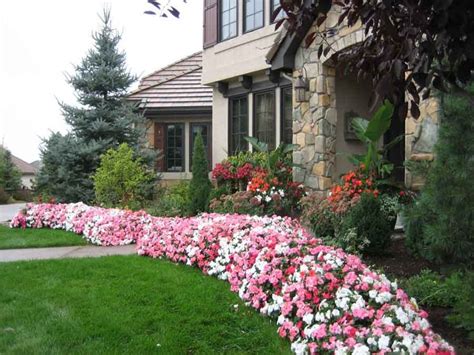 Types Of Flowers For The Best Curb Appeal Small Front Yards