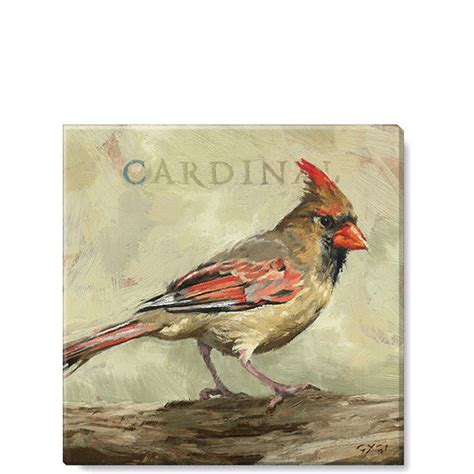 Darren Gygi Home Collection Female Cardinal Giclee Wall Art By Wrapped Canvas Print Wayfair