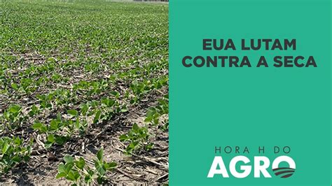 EUA lutam contra a seca Condição das lavouras é uma das piores da