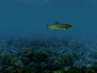 Screenshot of Reel Fishing (PlayStation, 1996) - MobyGames