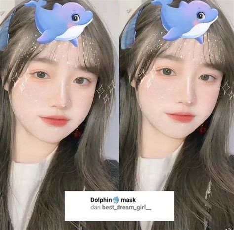 Ig Filter Name Dolphin Mask Filter Ig Selfie Cute Aesthetic Ig Filter