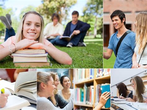 Collage Of Students Stock Photo Image Of Female Adult 33573466