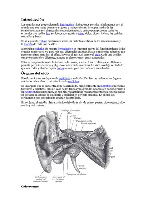 Fisiolog A Organos De Los Sentidos Los Sentidos Nos Proporcionan La