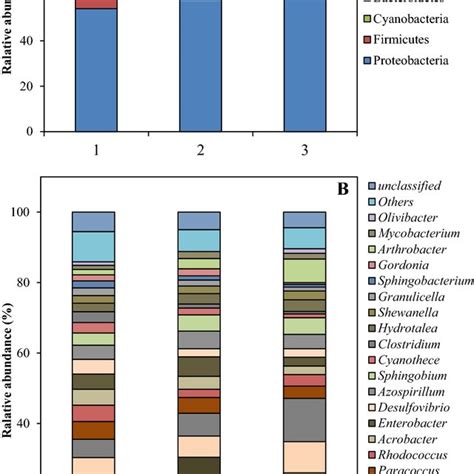 Relative Bacterial Abundance At A Phylum And B Genus Levels In The