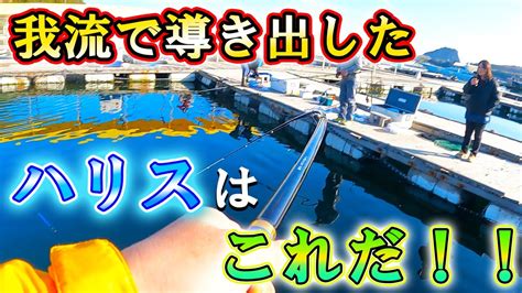 【海上釣堀】「水宝」魚種問わず年中このハリスで戦い続ける！！！ Youtube