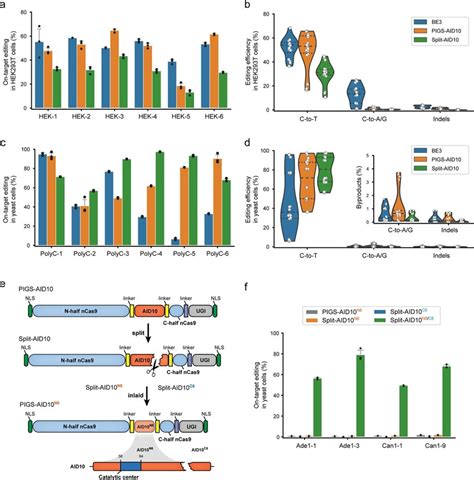 Split Aid10 Exhibits Minimal Off Target Effects A Schematic Diagram Of Download Scientific