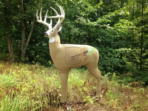 New 3D Archery Targets | FirstLightGear