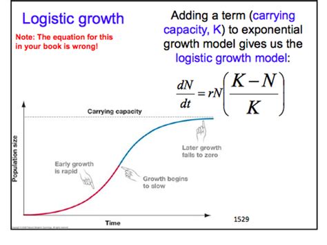 Exponential Growth Equations Biology - Tessshebaylo