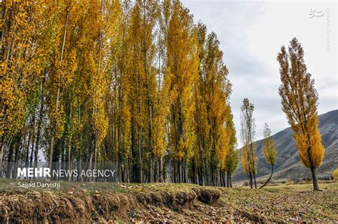 عکس طبیعت زیبای پاییزی لرستان