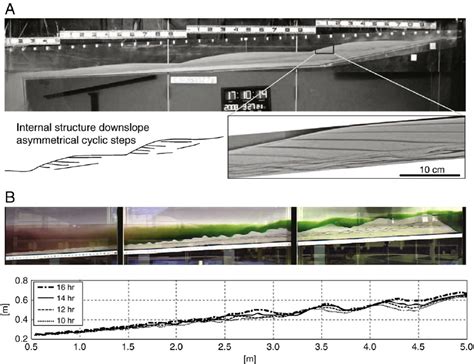 train  downslope asymmetrical cyclic steps formed   fl uvial fl