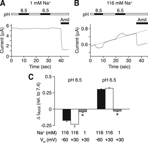 Regulation By Extracellular PH Requires Na A And B Representative