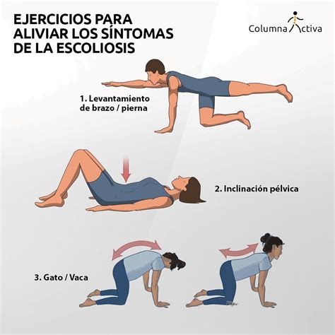 4 Ejercicios Para La Escoliosis Artofit