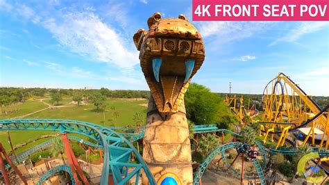 Cobras Curse K Front Seat On Ride Pov Busch Gardens Tampa Tampa