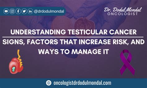 Understanding Testicular Cancer Signs Factors That Increase Risk And