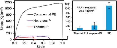 Tensile Strength Of Different Types Of Membranes Inset Shows The