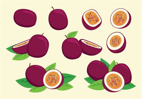 Free Passion Fruit Vector 128938 Vector Art At Vecteezy