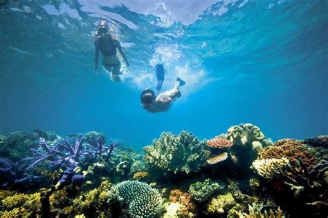 Padang Bai: Blue Lagoon Private Snorkeling Tour 2023 - Seminyak