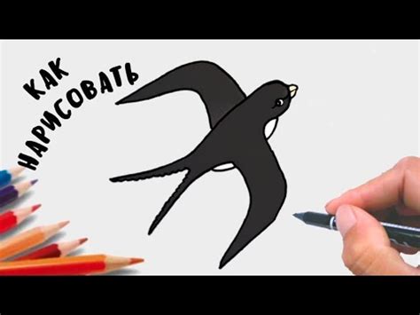 Как нарисовать ласточка, просто рисуем, Урок рисования для детей.😉 ...