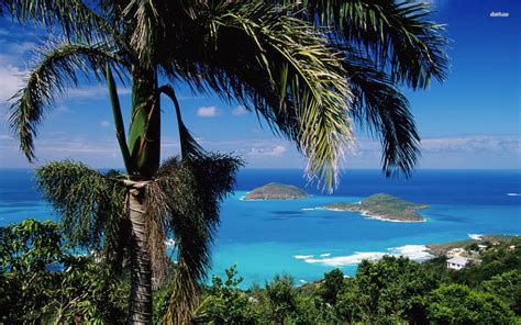 🔥 [50+] St Thomas Virgin Islands Wallpapers | WallpaperSafari