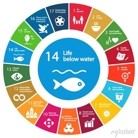 Life Below Water Icon Goal 14 Out Of 17 Sustainable Development Wall Mural • Murals White