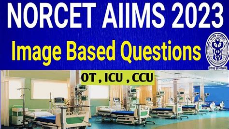 Norcet Aiims Image Based Questions Norcet Aiims Important Questions