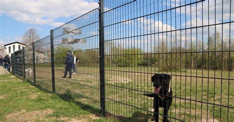 Leopoldshöher Hundewiese Neue Bäume aber kein Rasen Lokale