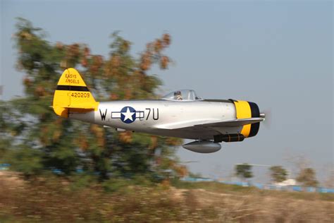 Pilot Rc Warbirds Rc Planes Hobby Shop