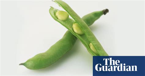 Seasonal Food Broad Beans Food The Guardian