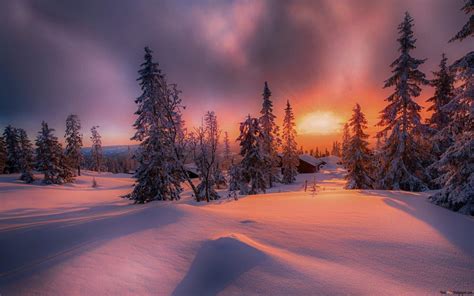 Solnedgang I Vinter Skogen HD Tapet Nedlasting Vinter Bakgrunnsbilder