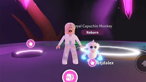 Making All Neon Capuchin Monkey Showing Them Off Royal Preppy