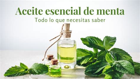 Aceite Esencial De Menta Descubre Su Poder Reto Bienestar