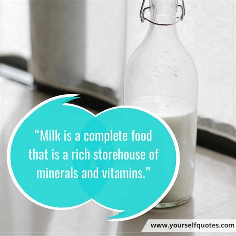 World Milk Day Quotes & Messages To Realize The Role Of Milk In Our Lives