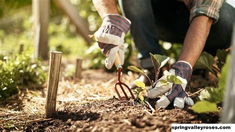 10 Hal Yang Perlu Diketahui Setiap Tukang Kebun Baru